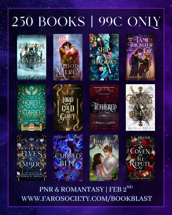 FaRoBub 99 cent sale on fantasy romance February 2026